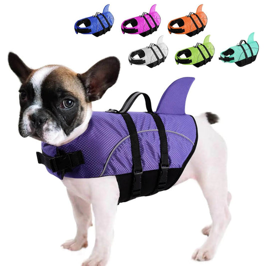 Small dog wearing a purple Shark Dog Life Vest, demonstrating the secure fit and rescue handle.